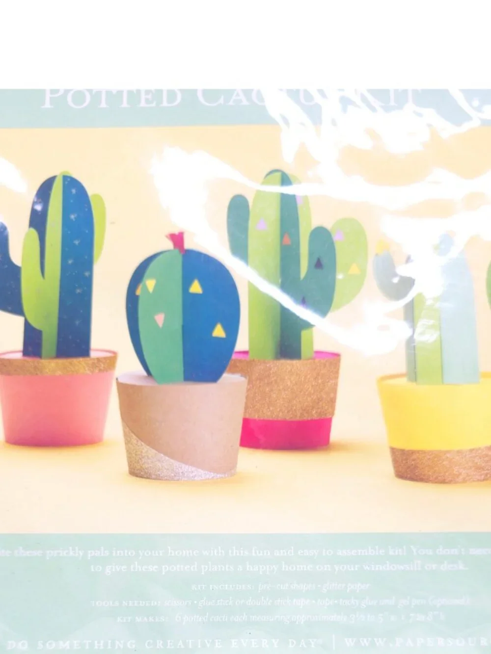 Paper Source Potted Cactus Decoration Kit